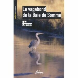 Le vagabond de la baie de  Somme (1)